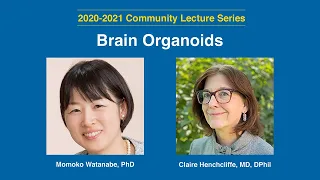Lab-Grown Brains: New Models to Study Neurological Disorders - Momoko Watanabe & Claire Henchcliffe