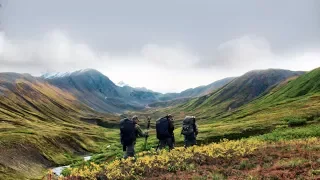 Alaska Hawke Hunt - Bear Hunt