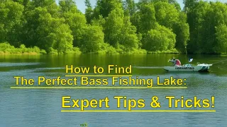 Start FINDING Bass FASTER Than Your Friends (Expert Tips & Secrets) 🎣