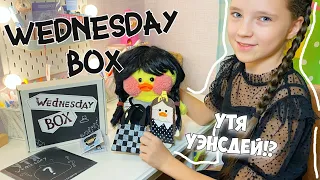 WEDNESDAY BOX - clothing, accessories, office!