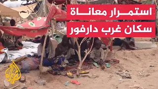 الجزيرة ترصد معاناتهم.. لاجئون من مدينة الجنينة السودانية يصلون إلى تشاد