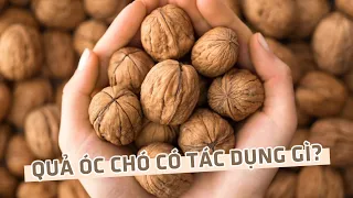 11 tác dụng không ngờ của quả óc chó đối với sức khỏe