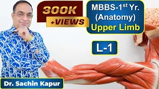 MBBS | First Year | 1st Prof. | Anatomy | Upper Limb L-1 | Dr Sachin Kapur | AIIMS