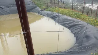 llenando balsa con el agua de lluvia