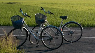 Nowe dolnośląskie trasy rowerowe na wakacje, „Fakty o poranku” 05.07.2022