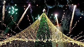 Зажгли главную ёлку Украины. Запалили головну ялинку України. Christmas tree of Ukraine.