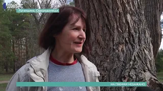 У Сєвєродонецьку заборонили відвідування лісу (Суспільне Донбас)