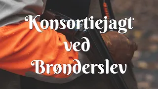 Konsortiejagt ved Brønderslev - Oktober 2021