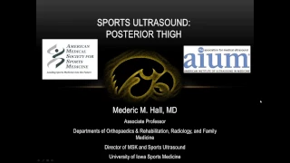 Sports Ultrasound  Sonographic Evaluation of the Posterior Thigh