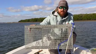 PINFISH TRAPS: How To Easily Catch Dozens Of Pinfish Using Traps