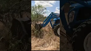 LS Tractor Pushing Mesquite around #3Dfarming #farm #farmer #tractor