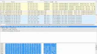 How to read Wireshark Output