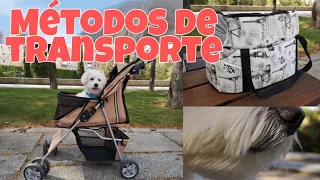 TODO SOBRE EL CARRO PARA PERROS  | JACKYSMOOD