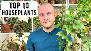 Top 10 Houseplants | 2021