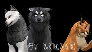 67 meme // WildCraft meme (minor blood)