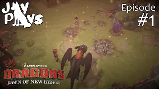 Missing Memories & A Mysterious Egg?? | Dreamworks Dragons: Dawn of New Riders #1