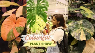 The Most Exciting Plant Show Visit: Latest Plant Discoveries | Lots of Exotic House Plants