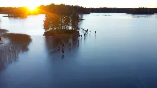 Wild Ice Skating In Sweden