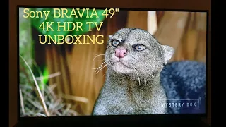 Sony BRAVIA 49XG8196 49" 4K HDR Android TV Unboxing