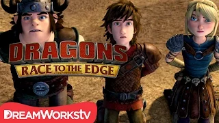 Defenders of the Wing | DRAGONS: RACE TO THE EDGE