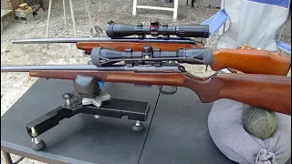 CZ 457 22 WMR vs Marlin 17 HMR