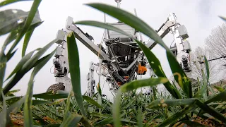 Small Robot Company – Non-chemical weeding