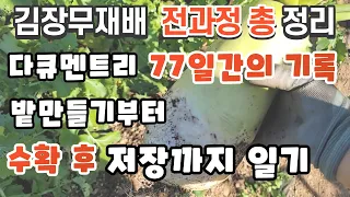 김장무밭만들기부터수확후저장까지완벽정리 김장무재배일자별일기 김장무파종시기 김장무우씨앗파종방법 김장무북주기방법