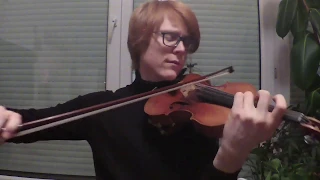 Marry Me -  Hans Zimmer -  Violin Cover by Floris Willem