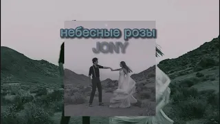 [•Lyrics+Slowed•] небесные розы-JONY