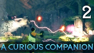 [2] A Curious Companion (Let's Play The Last Guardian PS4 Pro w/ GaLm)