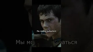 УДАЧИ ПРОТИВ ГРИВЕРОВ! - Бегущий в лабиринте (The Maze Runner) #short #shorts