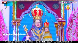 🔴LIVE 2021 Car Procession & Adoration from Our Lady of Health Vailankanni, Nagapattinam