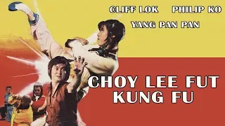 Wu Tang Collection - Choy Lee Fut Kung Fu