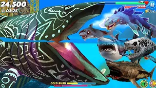 Hungry Shark World New Shark - New Kora Shark Skin Fan Made New Update & Gameplay