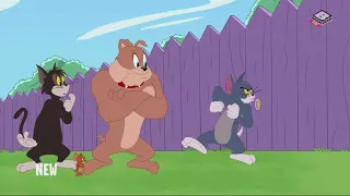 The Tom and Jerry Show Season 3 Episode 47   Alley Oops