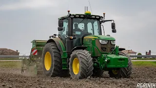 John Deere 6130R + Amazone AD 3000 Super Special | Sowing Wheat 2021 | Agromeccanica Gobbo