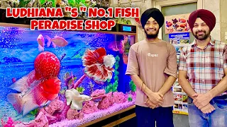 Ludhiana “S” No.1 Fish Peradise Shop /Fish Shop /Fish Aquarium