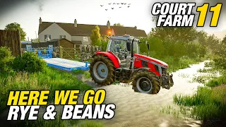 HERE WE GO! RYE AND BEANS FOR THE FIRST TIME | Court Farm | Farming Simulator 22 - Ep11