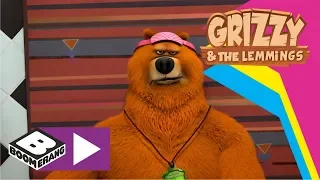 Grizzy and The Lemmings | Birthday Boy | Boomerang