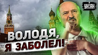 Володя, у меня грипп! Лукашенко притворятся больным, чтобы сорвать визит Путина