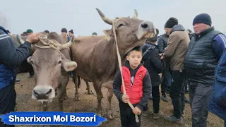 Andijon Shaxrixon Xoldanbek Choja Mol Bozori Bugun Bozor YONDI 🔥