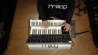 Moog Solo By Jesús Molina