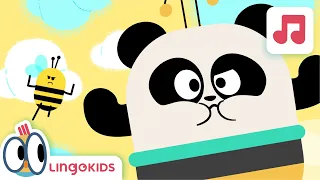 BEES BUZZ CHANT 🐝🎶  Alliteration Songs for kids | Lingokids