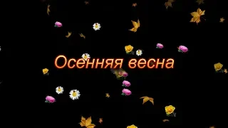 Осенняя весна