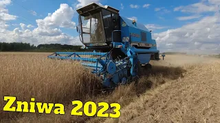 ŻNIWA 2023 CZAS ZACZĄĆ 🔥 BIZON REKORD Z058!㋛︎ URSUS C330M W TRANSPORCIE😎