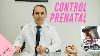 Control Prenatal (paso a paso)