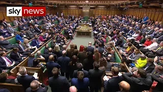 In full: MPs vote on Brexit alternatives