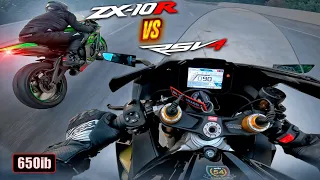 Modified ZX-10R is NO MATCH For My RSV4 Factory!