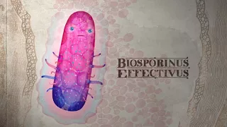 Biosporine 2018 30s