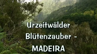 Europas wilde Paradiese: Urzeitwälder, Blütenzauber - Madeira (2000)